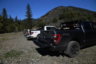 DSC_6479 (Large).JPG